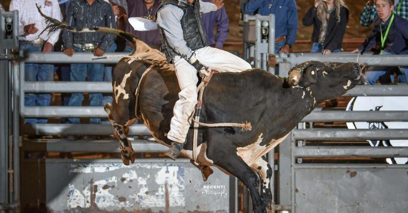 Gatton Rodeo Rodeo Club